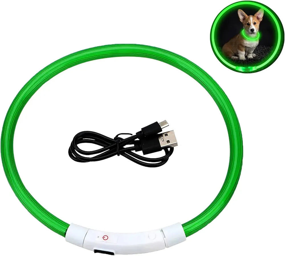 Collier Lumineux à LED Sécurisant avec 3 Modes d'Éclairage, Rechargeable par USB pour Chien