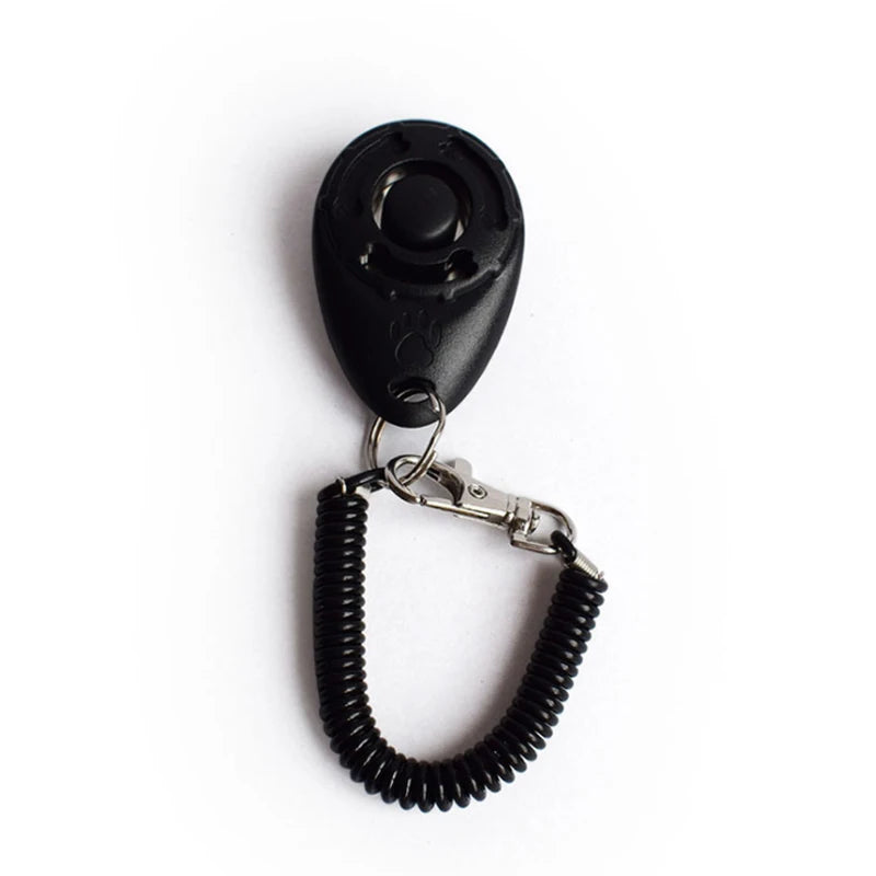 Clicker de dressage pour chien