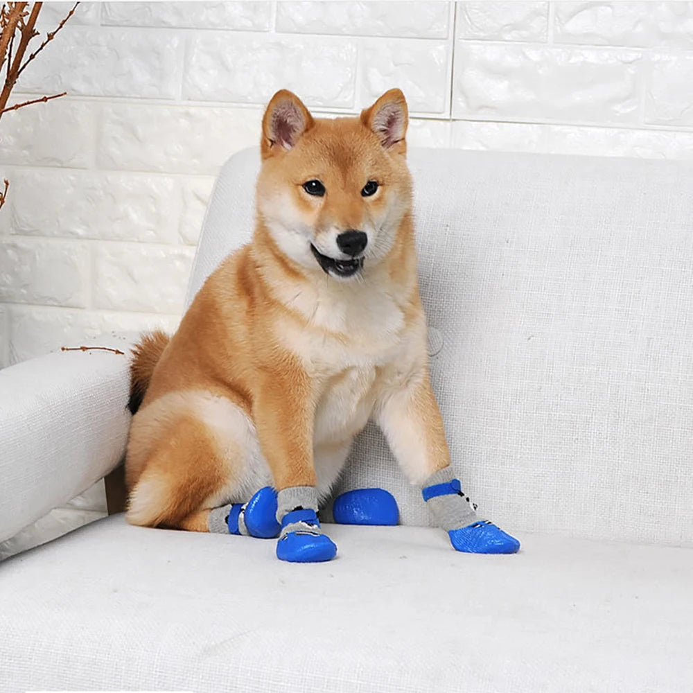 Lot de 4 chaussettes imperméables et antidérapantes pour chien, offrant un confort optimal