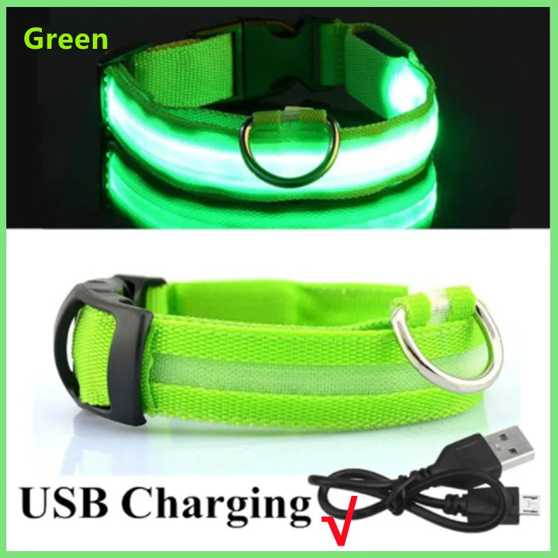 Collier Lumineux à LED pour Chien Rechargeable par USB avec 3 Modes d'Éclairage