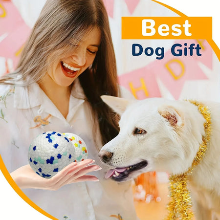 Balle résistante à mâcher pour chien