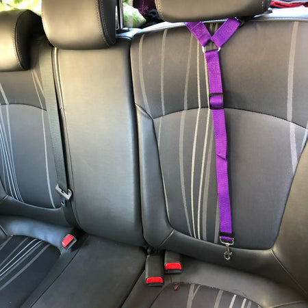 Ceinture de sécurité 2 en 1 ajustable pour chien