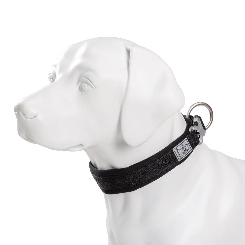 TRUE LOVE - Collier pour chien en nylon avec rembourrage en néoprène