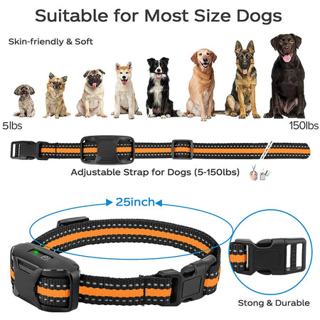 Collier de dressage étanche pour chien