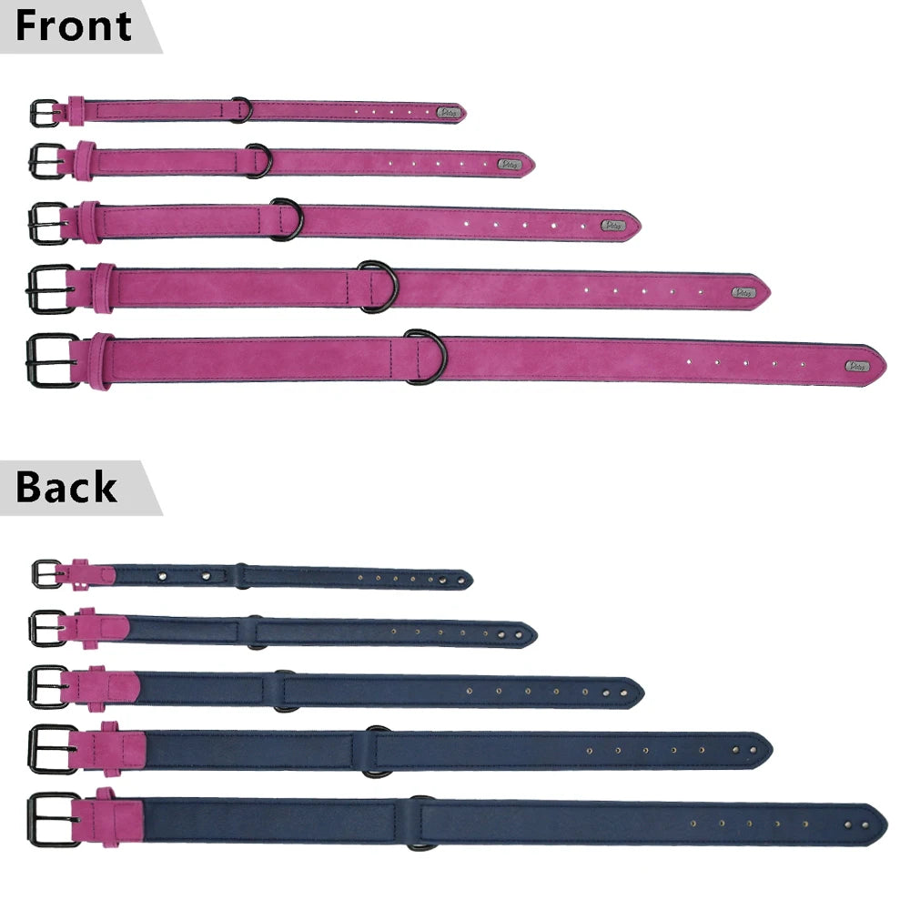 Collier rembourré ultra-confort pour chien