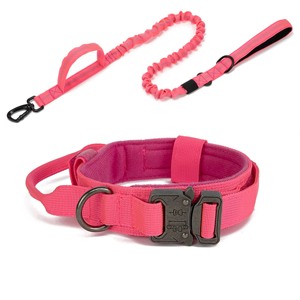 Collier tactique d'entraînement pour chien