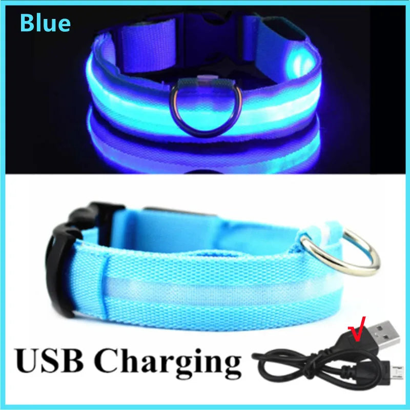 Collier Lumineux à LED pour Chien Rechargeable par USB avec 3 Modes d'Éclairage