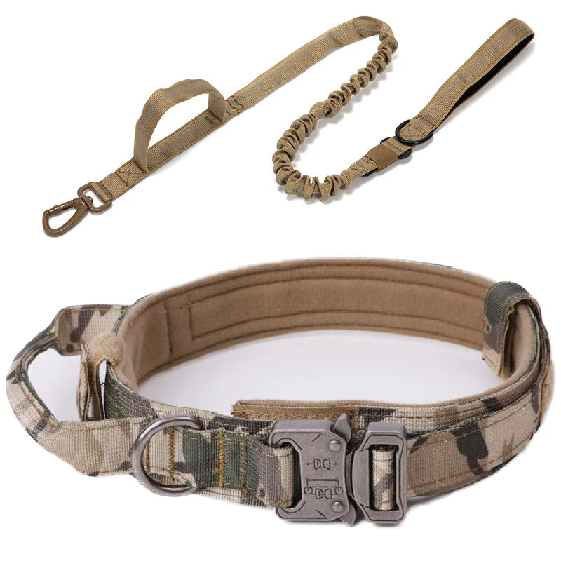 Collier tactique d'entraînement pour chien