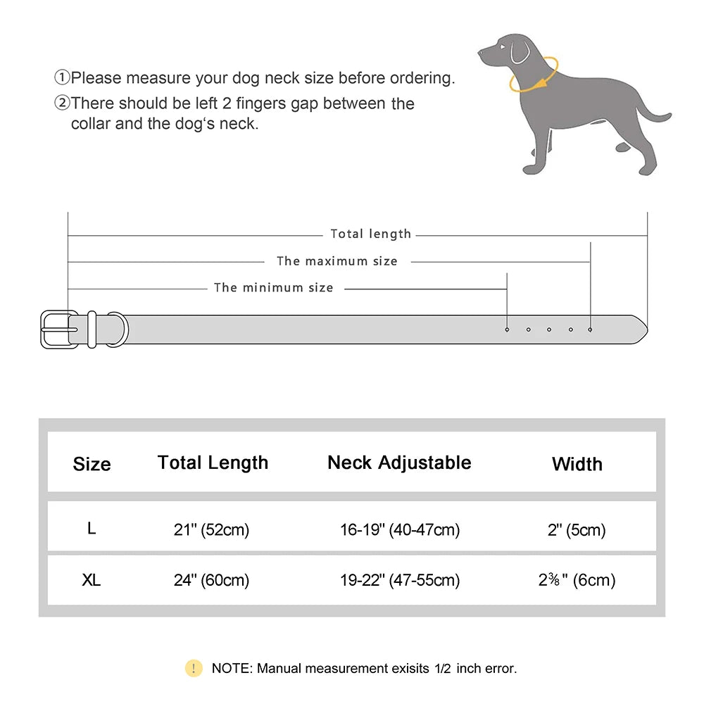 Collier en cuir robuste pour chiens de moyenne et de grande taille