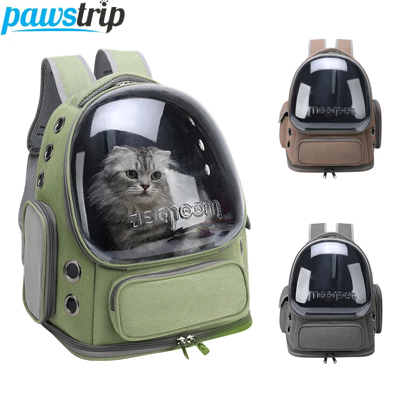 Sac à dos transparent pour petits chiens et chats