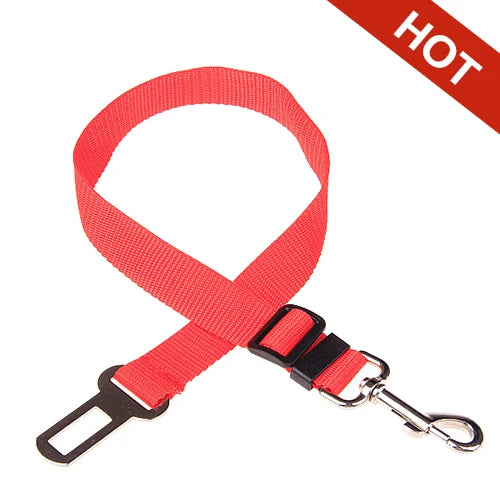 Ceinture de sécurité ajustable pour chien