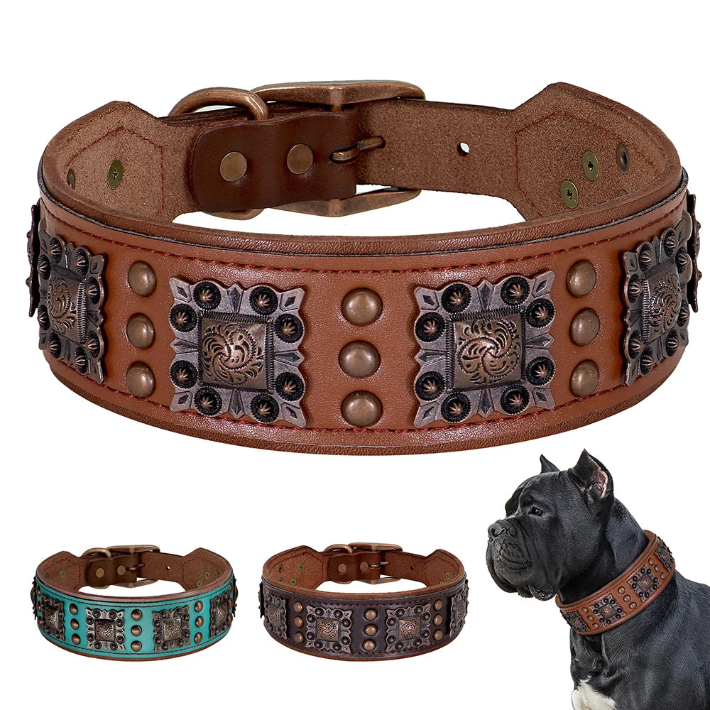 Collier en cuir robuste pour chiens de moyenne et de grande taille