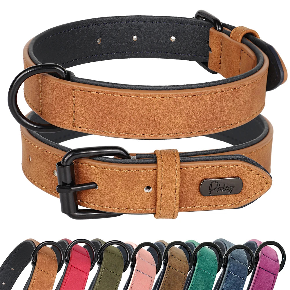Collier rembourré ultra-confort pour chien