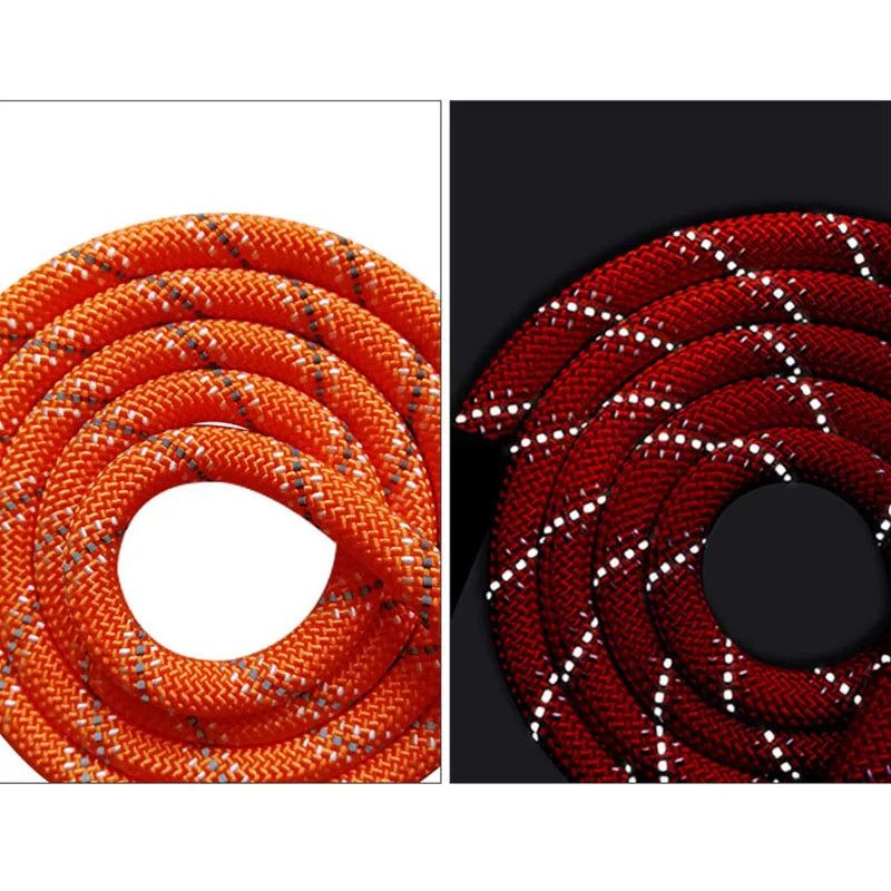 Laisse d'entraînement réfléchissante avec poignée confortable pour chien