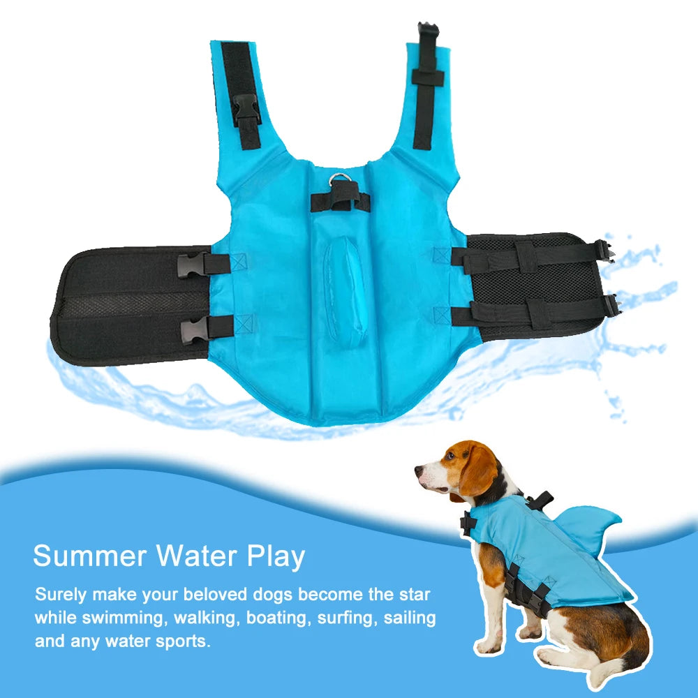 Gilet de sauvetage pour chien - sécurité et flottabilité 