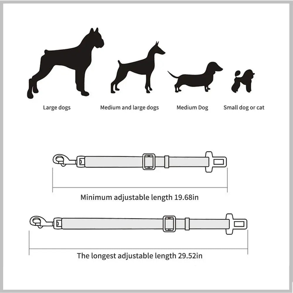 Ceinture de sécurité ajustable pour chien