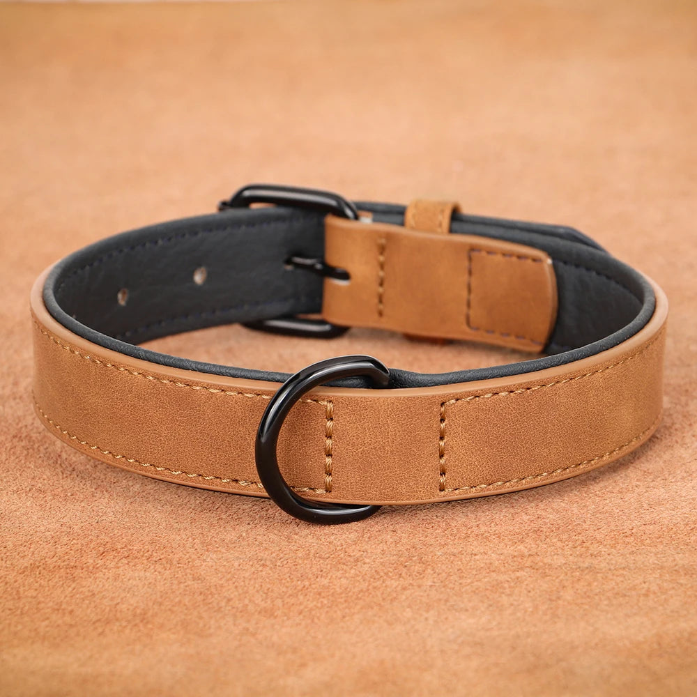 Collier rembourré ultra-confort pour chien