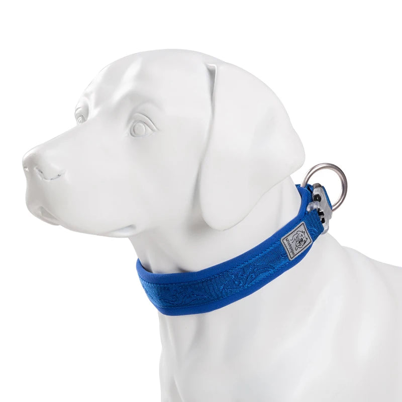 TRUE LOVE - Collier pour chien en nylon avec rembourrage en néoprène