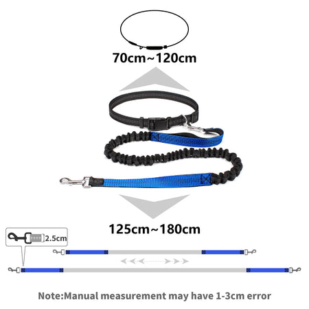 Laisse mains libres avec ceinture pour chien