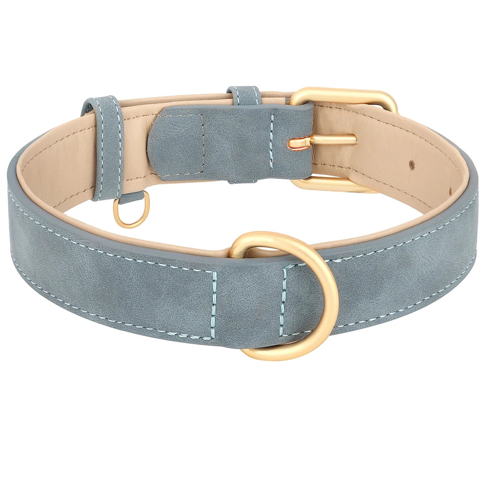 Collier doux et rembourré pour chien