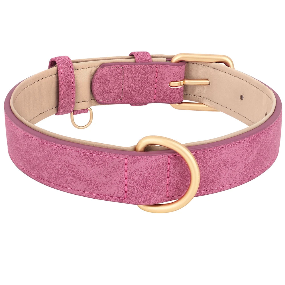 Collier doux et rembourré pour chien
