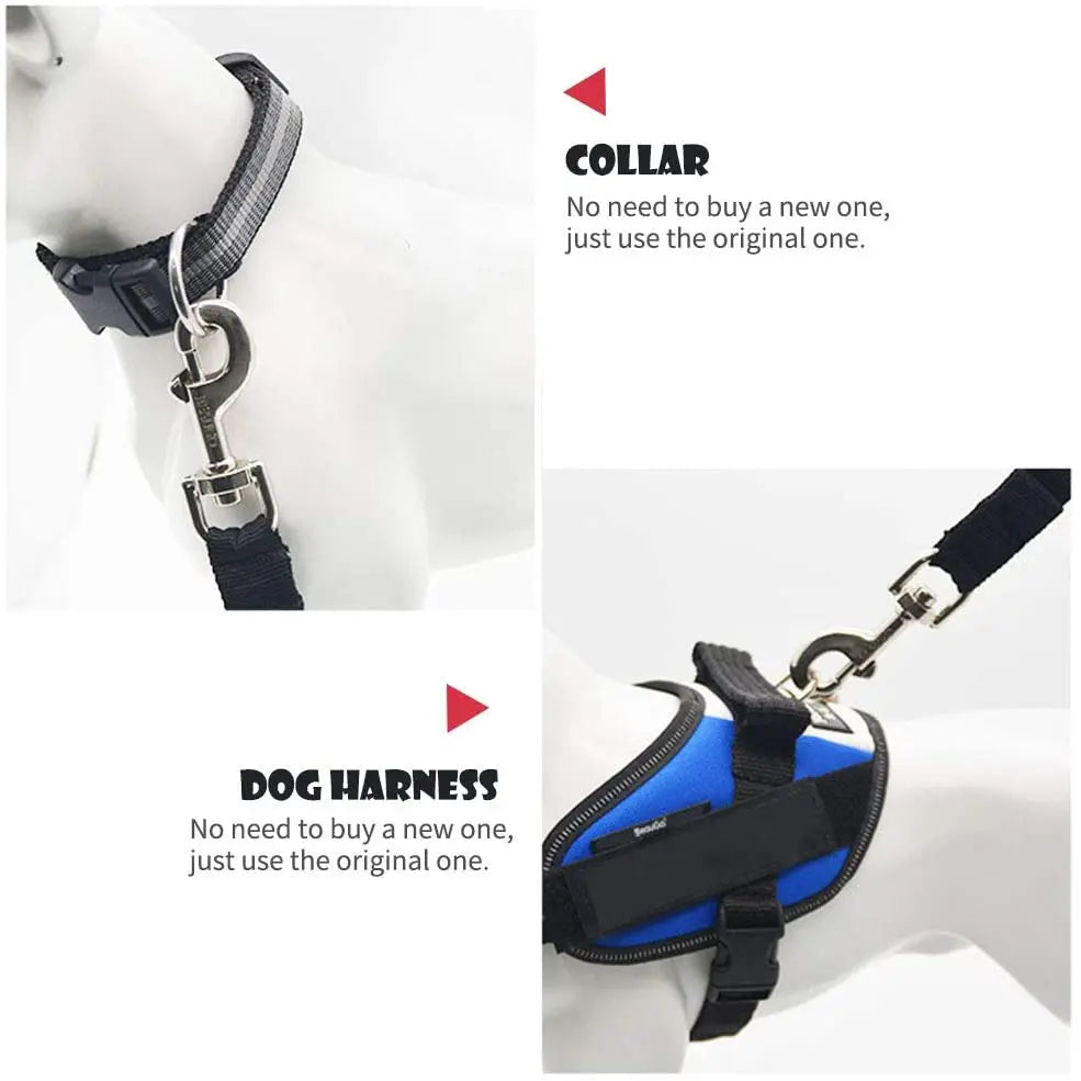 Ceinture de sécurité ajustable pour chien