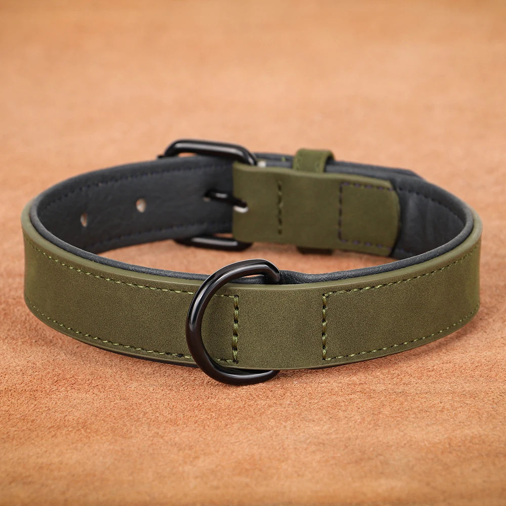 Collier rembourré ultra-confort pour chien