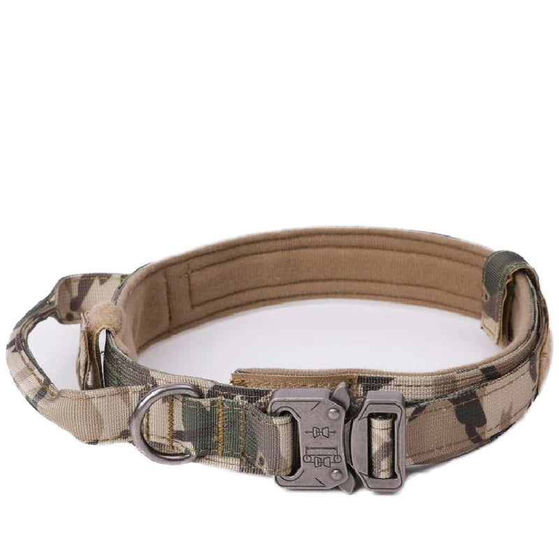 Collier tactique d'entraînement pour chien