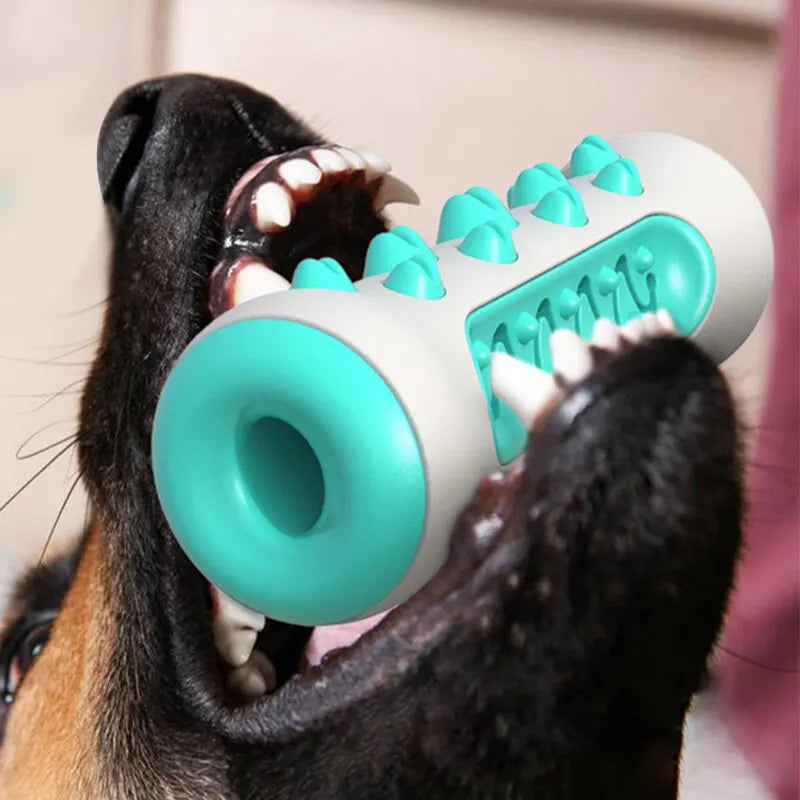 Bâton de dentition à mâcher pour chien