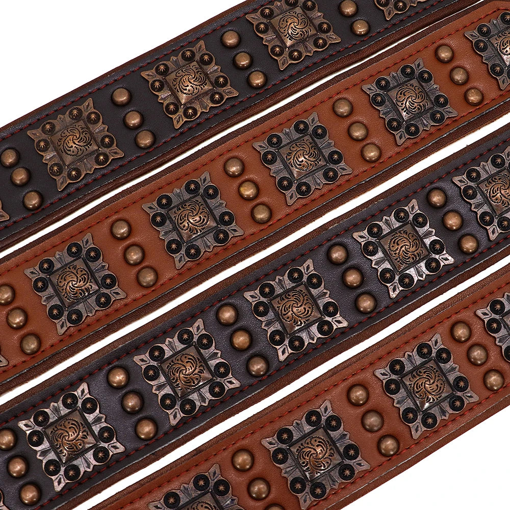 Collier en cuir robuste pour chiens de moyenne et de grande taille