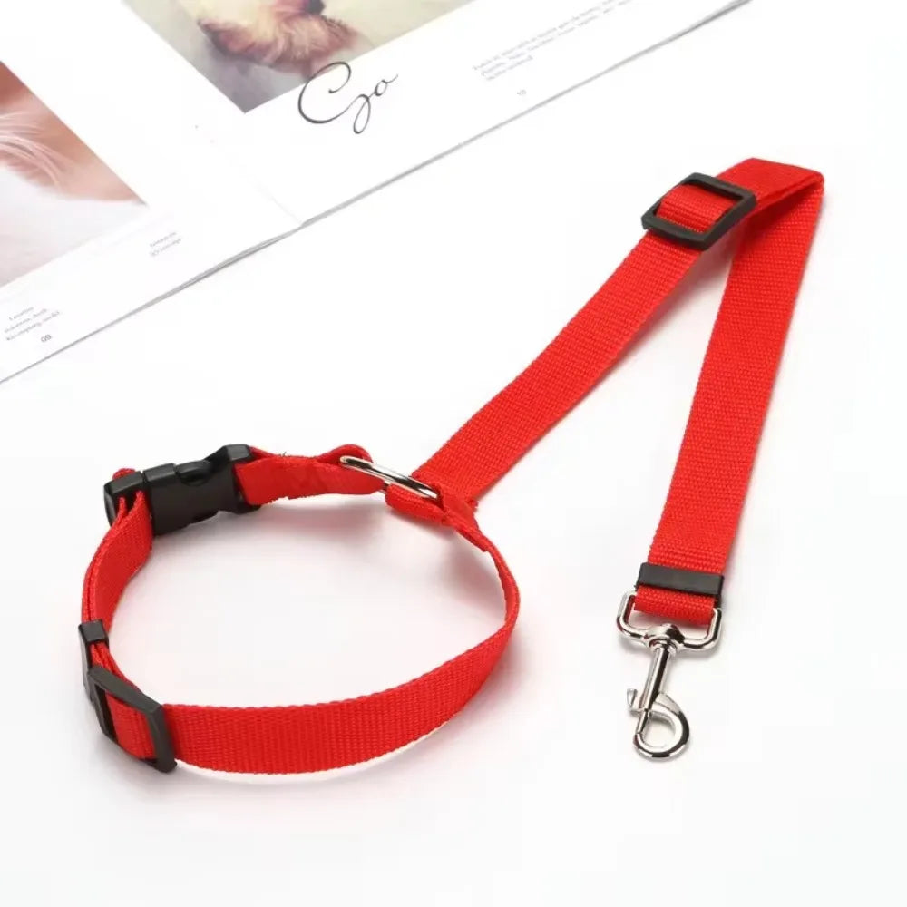 Ceinture de sécurité 2 en 1 ajustable pour chien