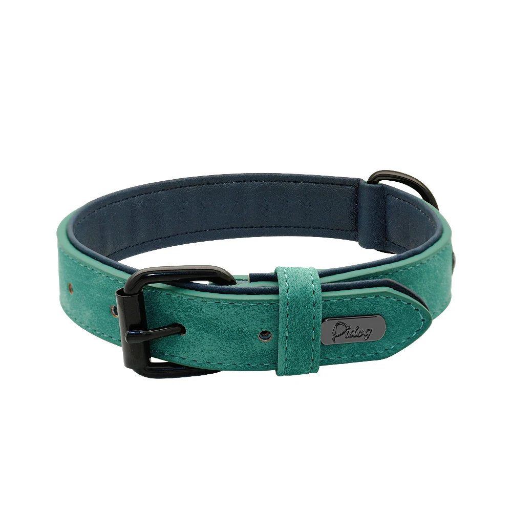 Collier rembourré ultra-confort pour chien
