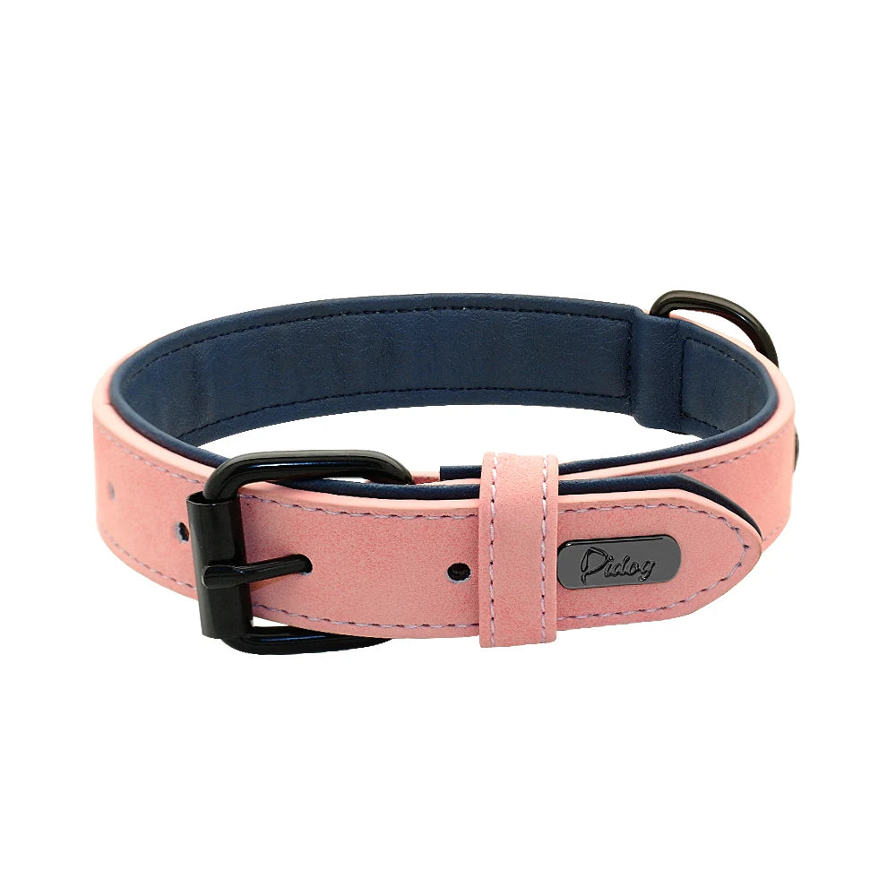 Collier rembourré ultra-confort pour chien