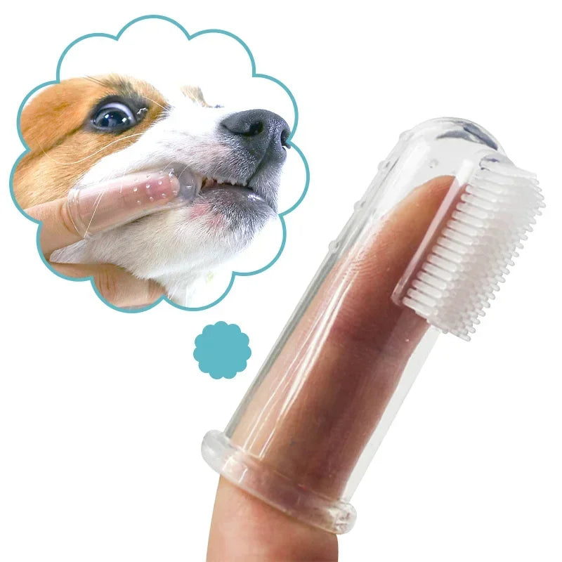 Brosse à dents pour chien et chat - soins dentaires contre la mauvaise haleine et le tartre