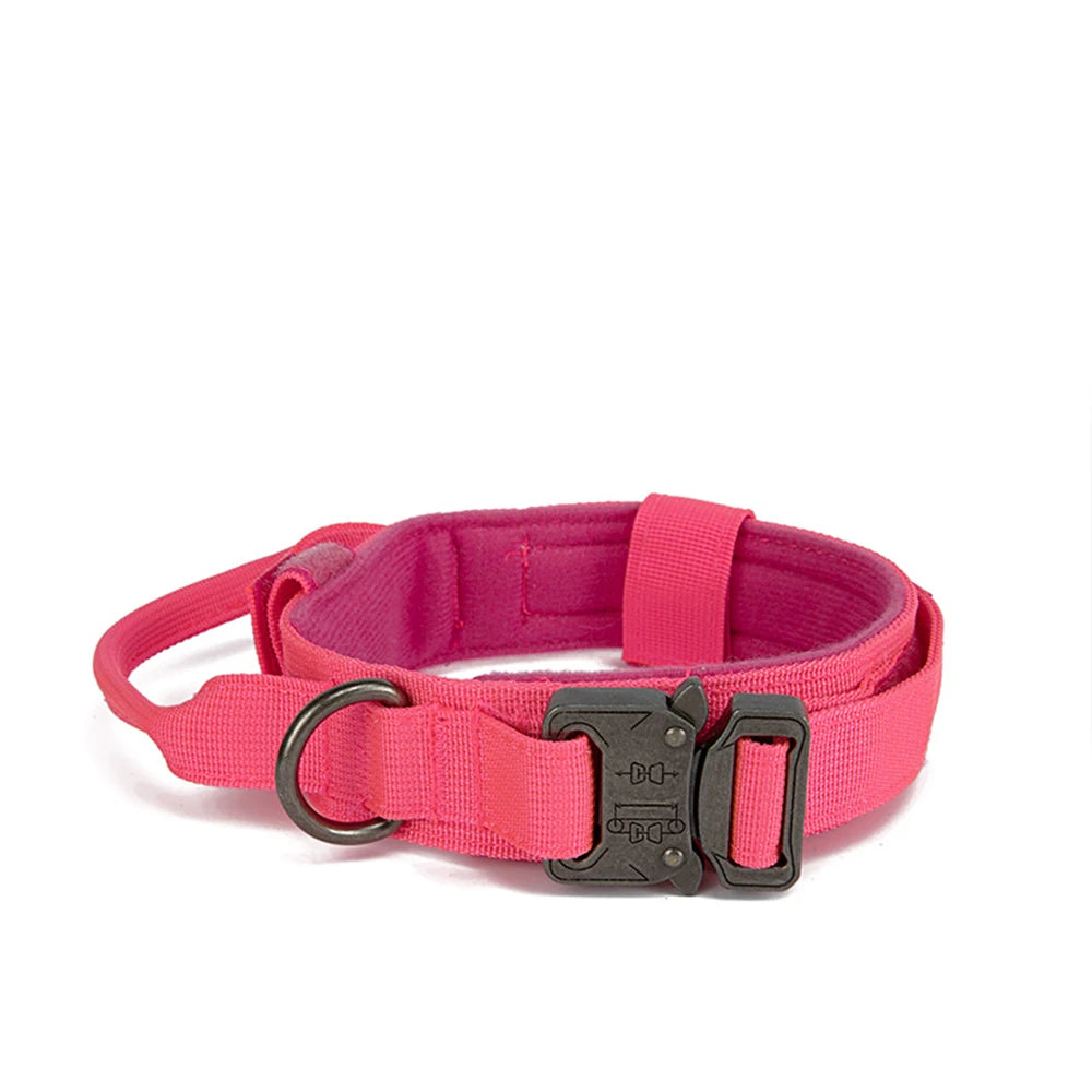 Collier tactique d'entraînement pour chien