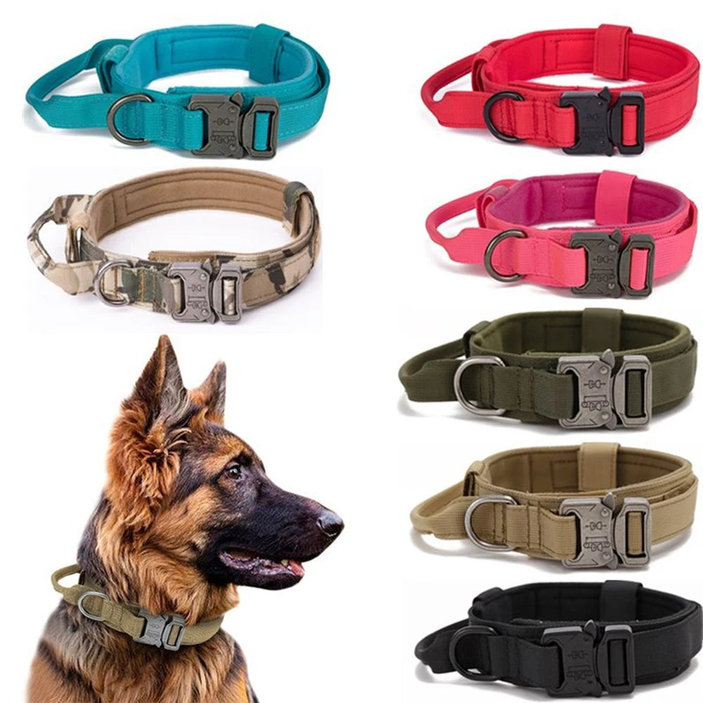 Collier tactique d'entraînement pour chien