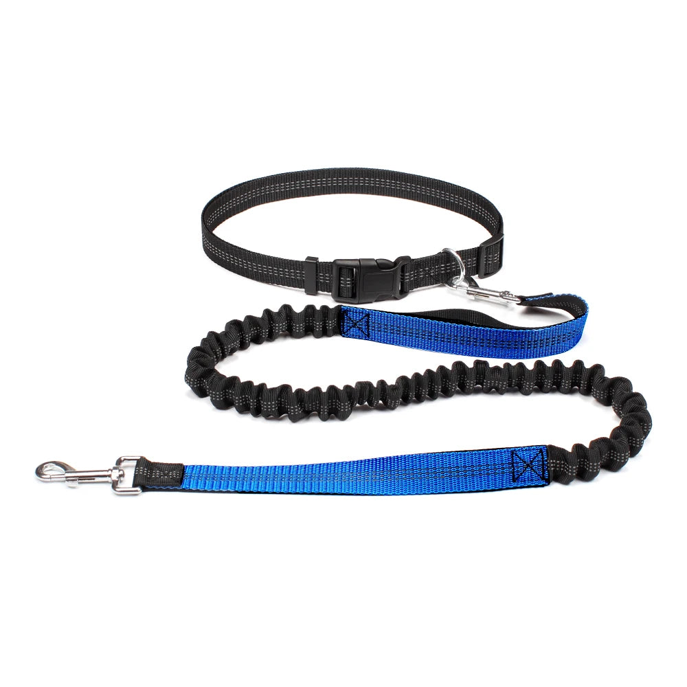 Laisse mains libres avec ceinture pour chien