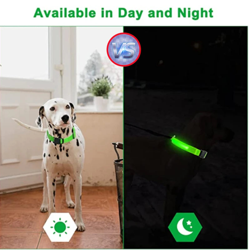 Collier Lumineux à LED pour Chien Rechargeable par USB avec 3 Modes d'Éclairage