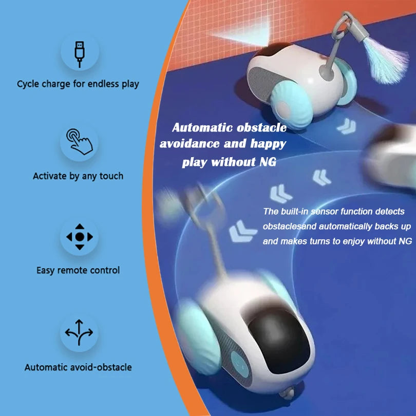 Voiture interactive télécommandée pour chat