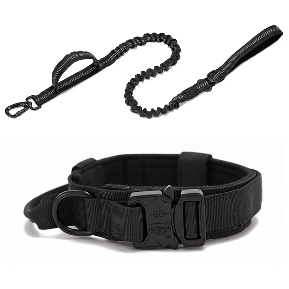 Collier tactique d'entraînement pour chien