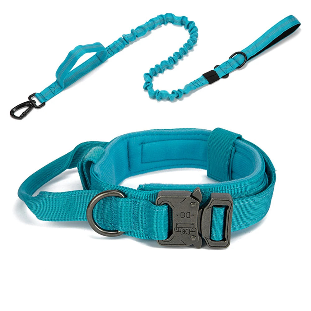 Collier tactique d'entraînement pour chien