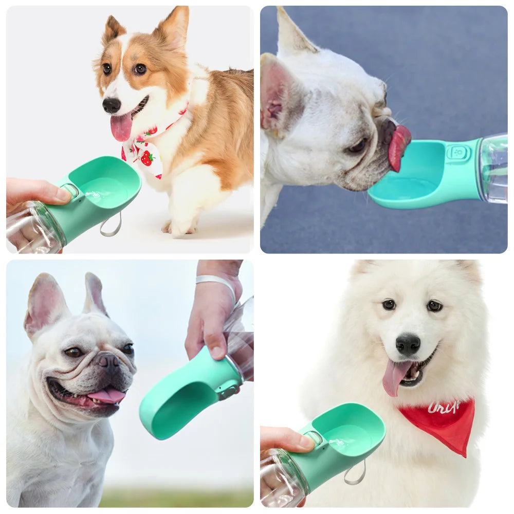 Gourde portable de 300 ml à 550 ml pour chien et chat