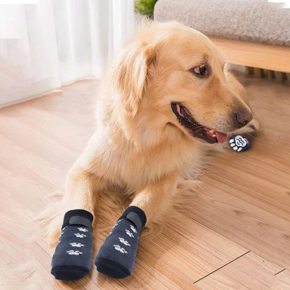 Lot de 4 chaussettes réglables antidérapantes et confortables pour chien