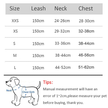 Harnais réfléchissant réglable et confortable avec laisse pour petits chiens et chats