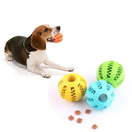 Balle à friandises pour petits chiens