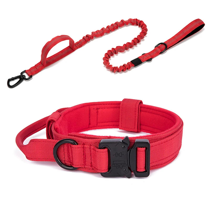 Collier tactique d'entraînement pour chien