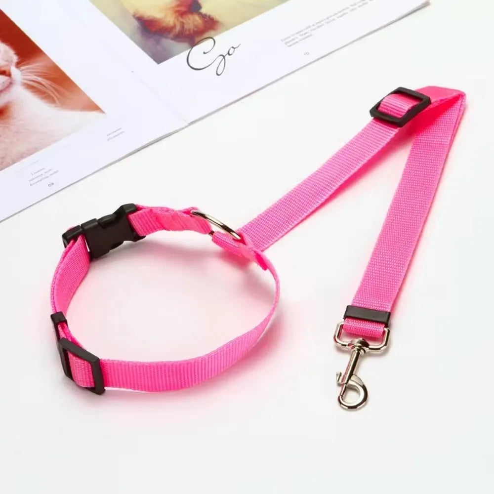 Ceinture de sécurité 2 en 1 ajustable pour chien