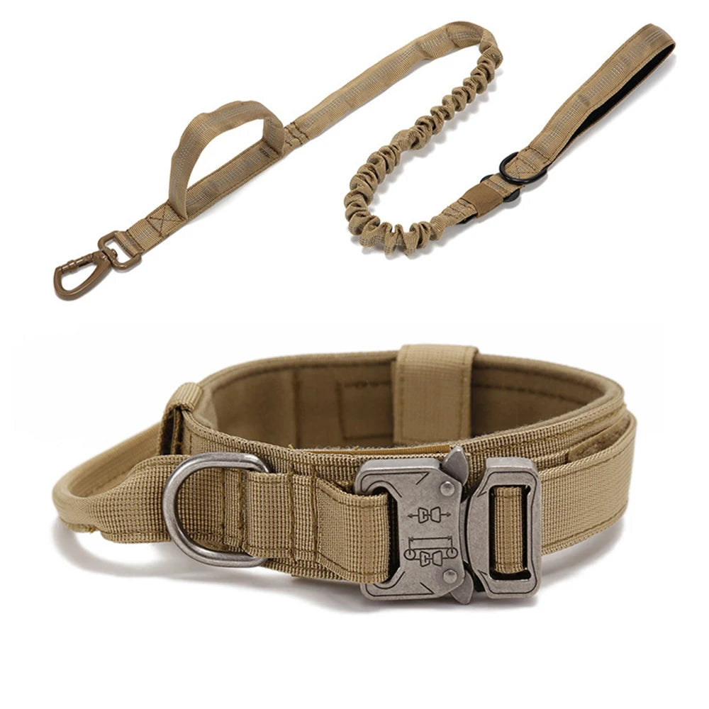 Collier tactique d'entraînement pour chien