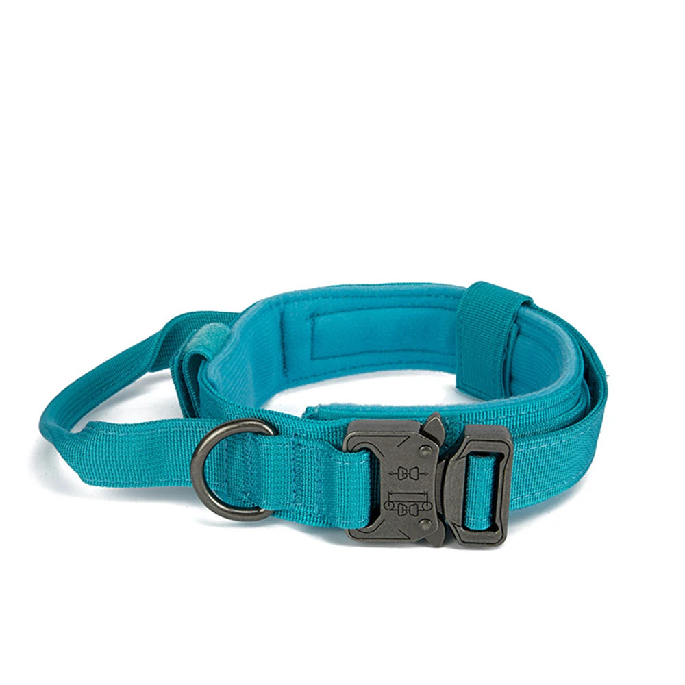 Collier tactique d'entraînement pour chien