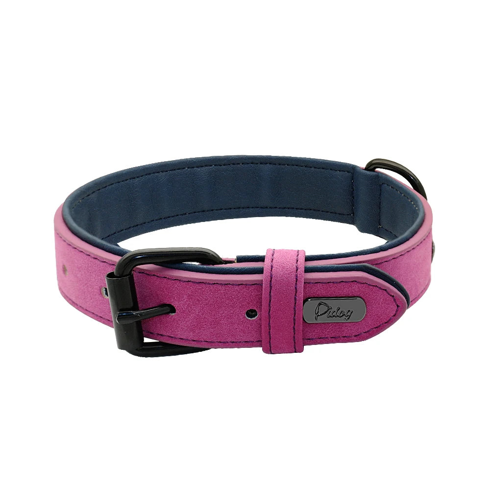 Collier rembourré ultra-confort pour chien